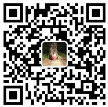 WeChat